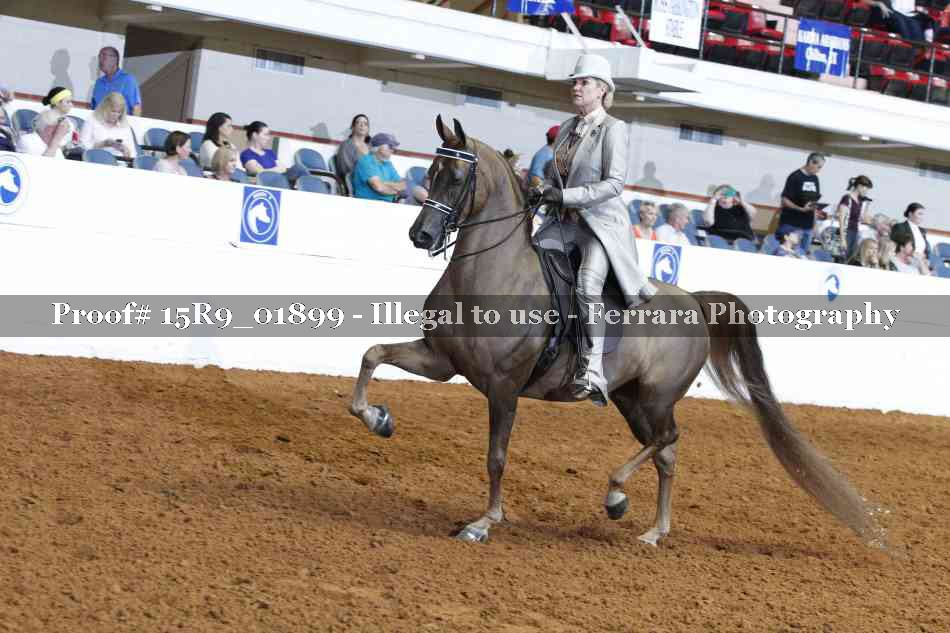 Proof 15R9_01899