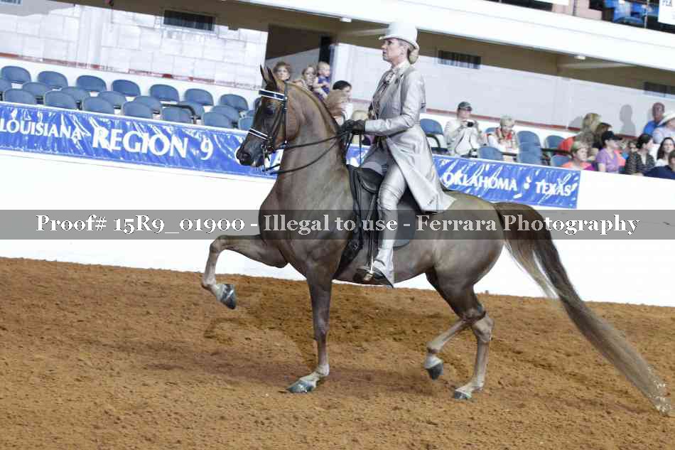 Proof 15R9_01900
