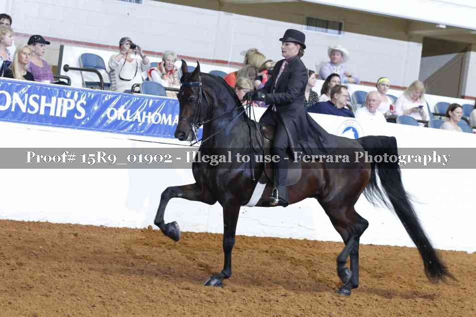 Proof 15R9_01902