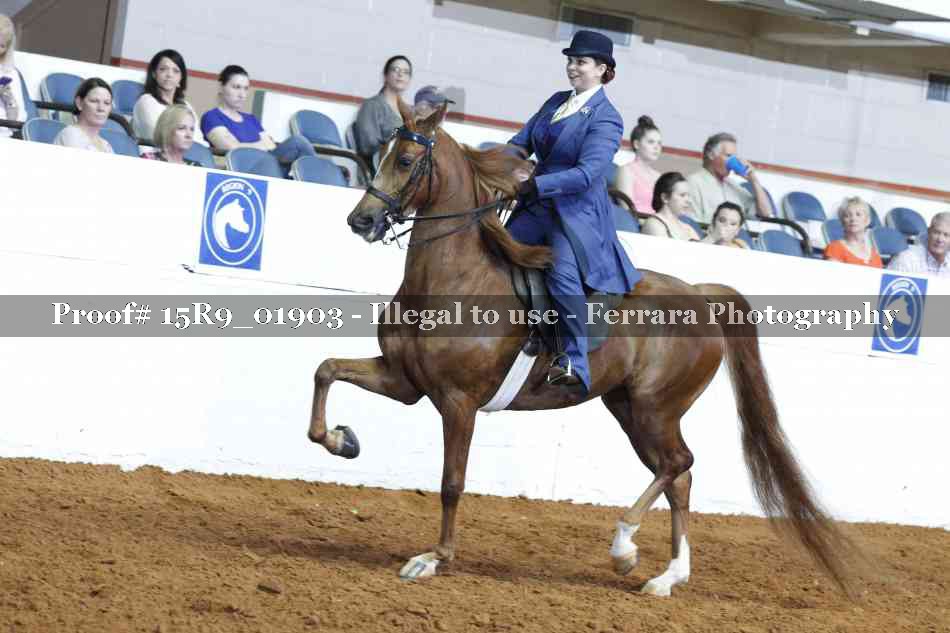 Proof 15R9_01903