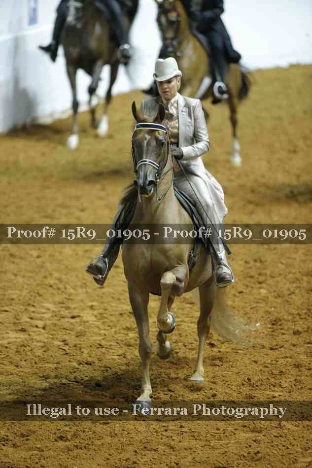 Proof 15R9_01905