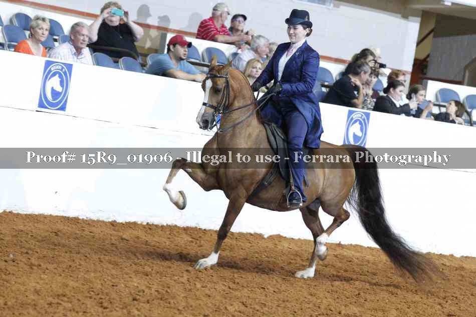 Proof 15R9_01906