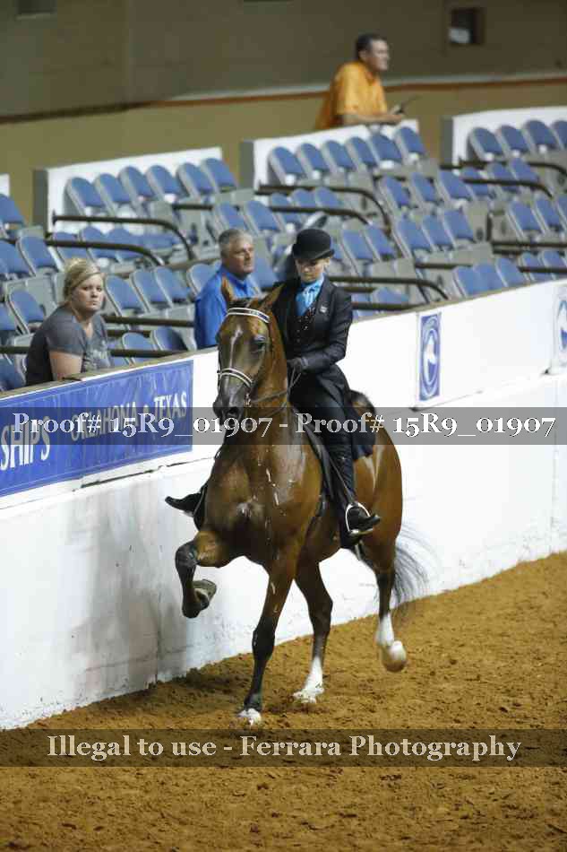 Proof 15R9_01907