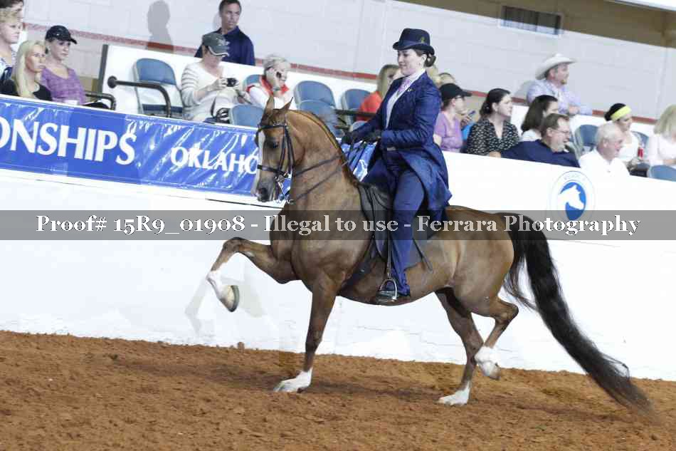 Proof 15R9_01908