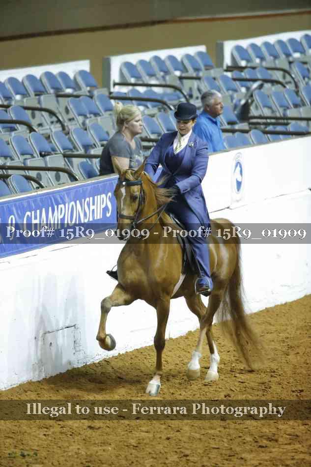 Proof 15R9_01909