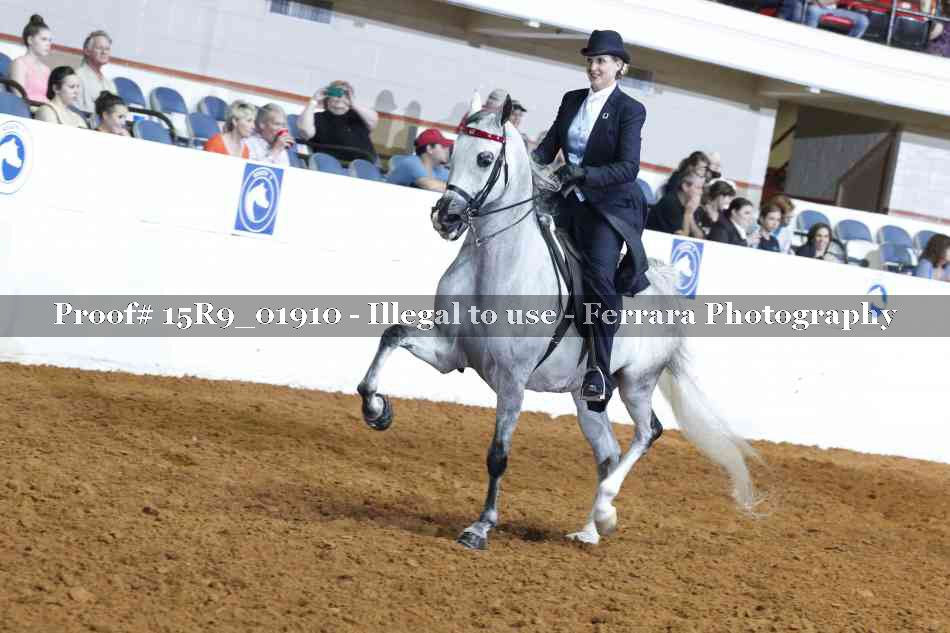 Proof 15R9_01910