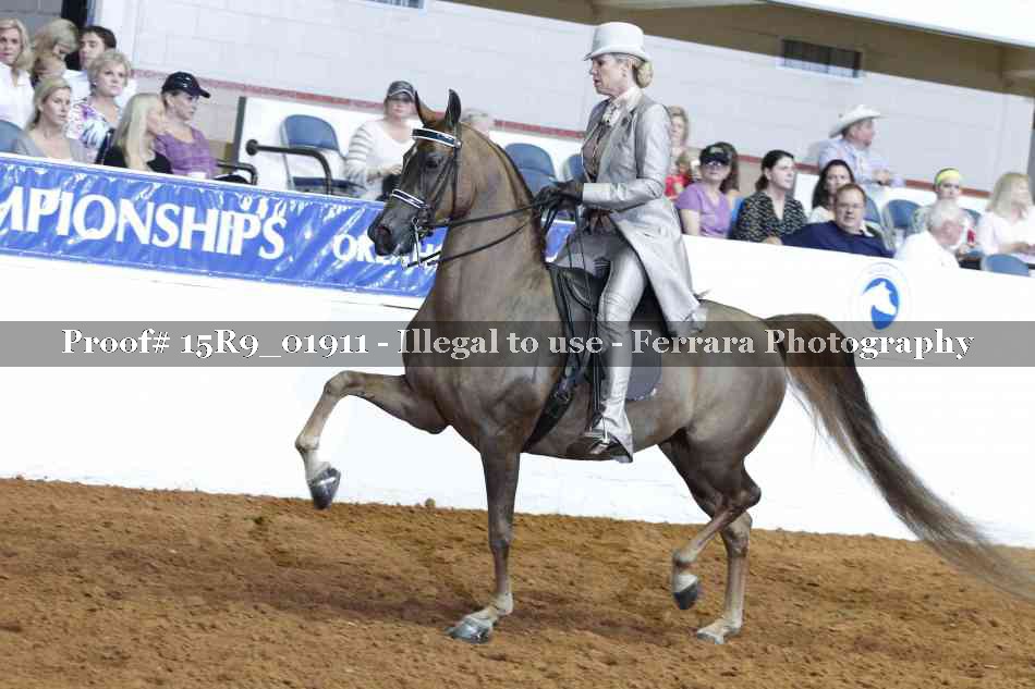Proof 15R9_01911