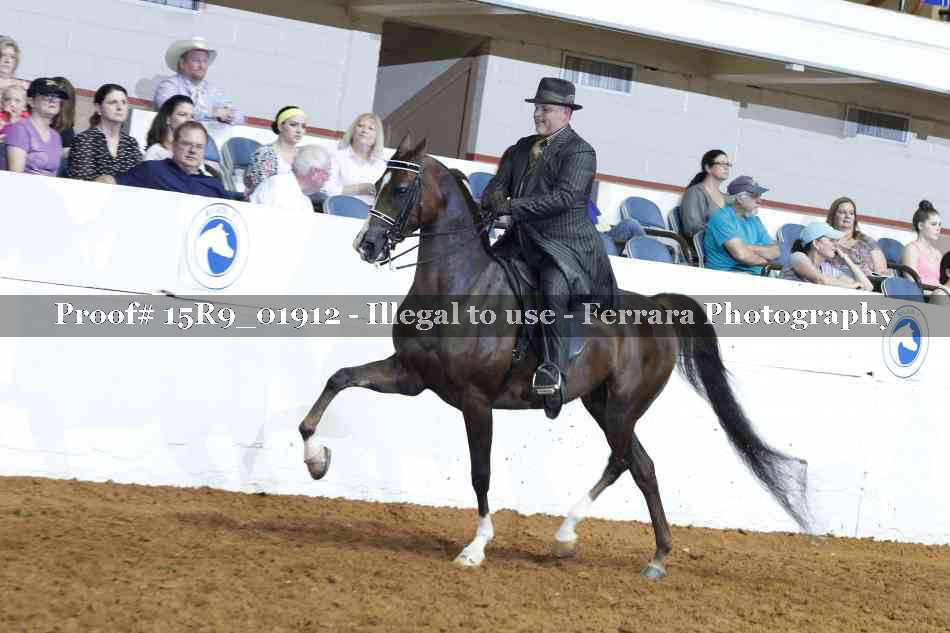 Proof 15R9_01912