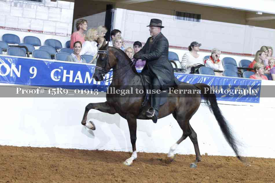Proof 15R9_01913