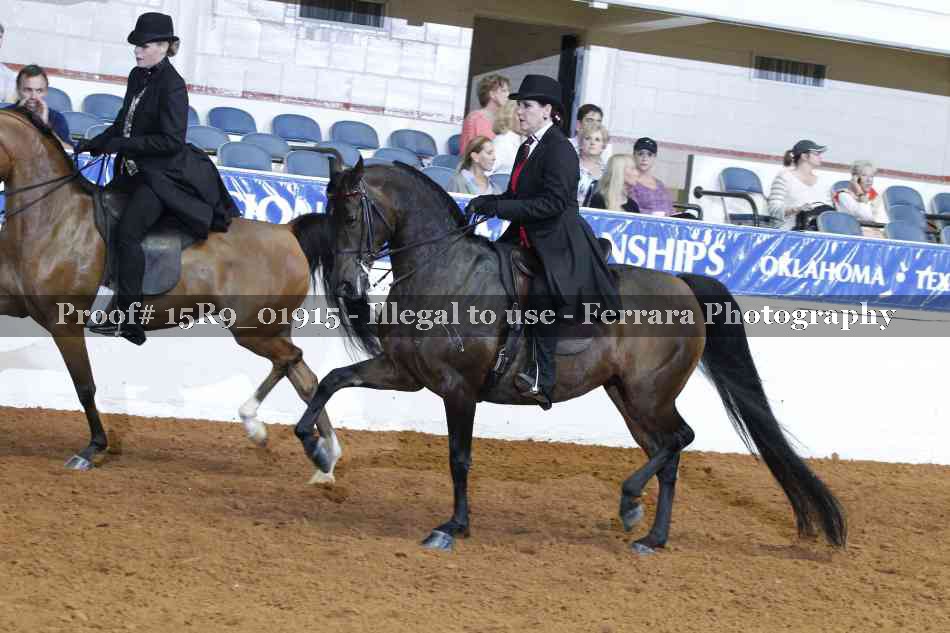 Proof 15R9_01915