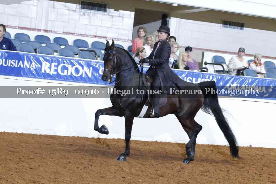 Proof 15R9_01916