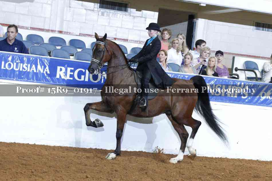 Proof 15R9_01917