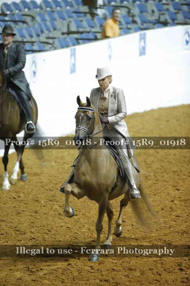 Proof 15R9_01918