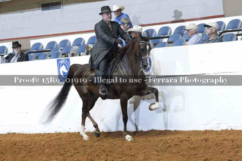 Proof 15R9_01919