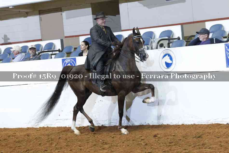Proof 15R9_01920
