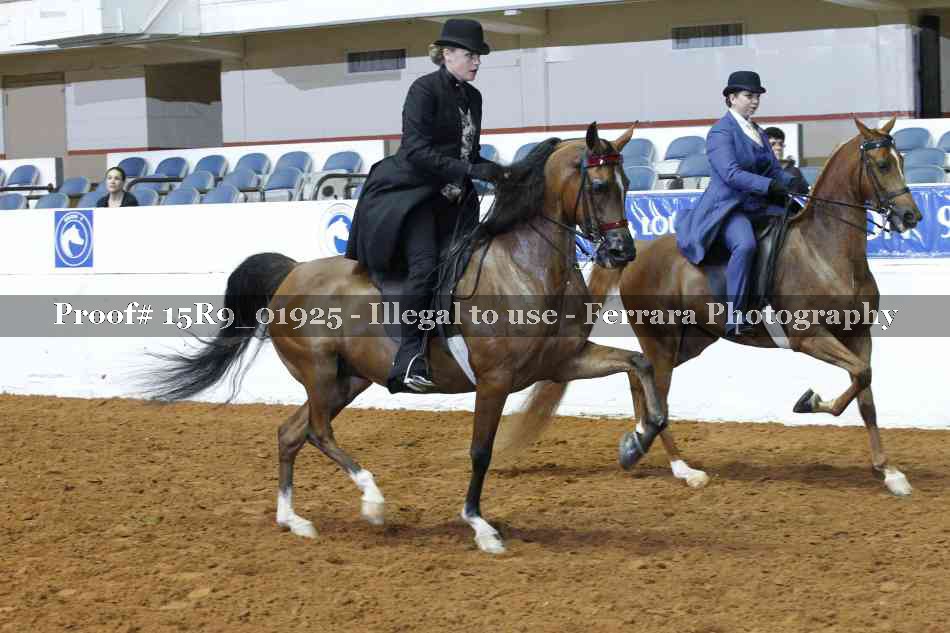 Proof 15R9_01925