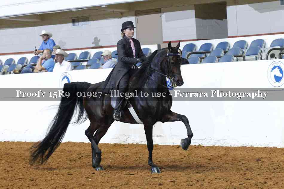 Proof 15R9_01927
