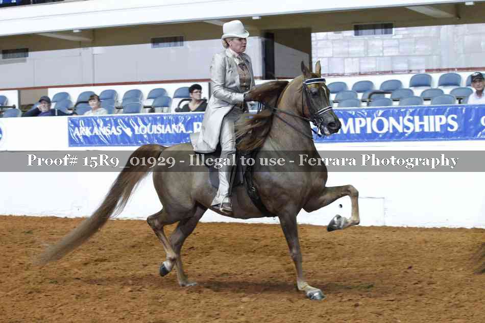 Proof 15R9_01929