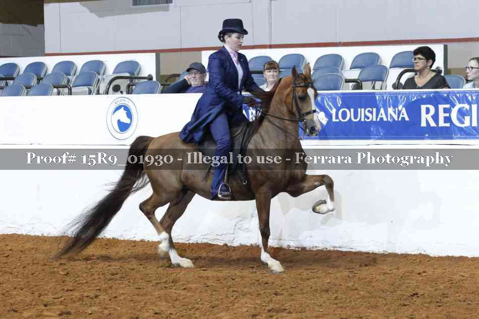 Proof 15R9_01930