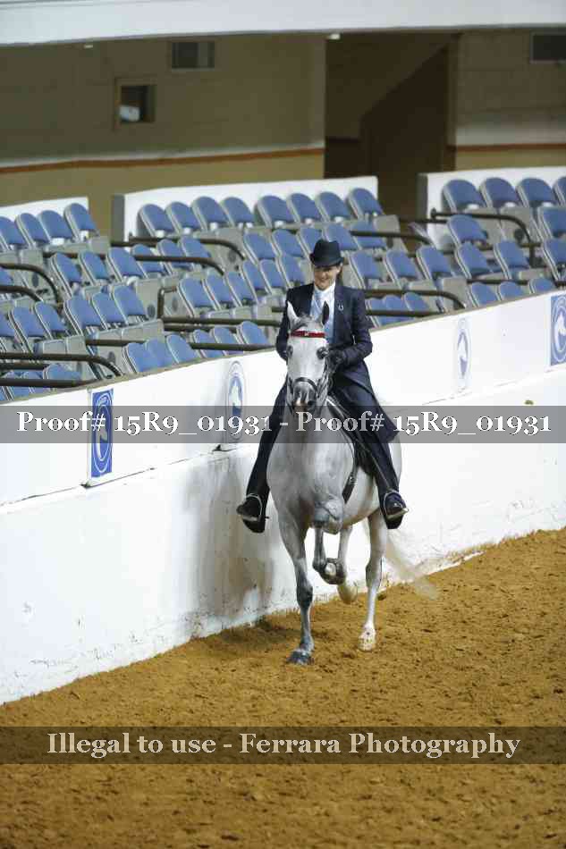Proof 15R9_01931