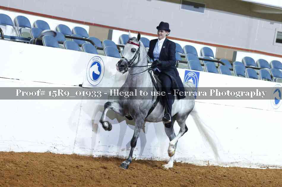 Proof 15R9_01933