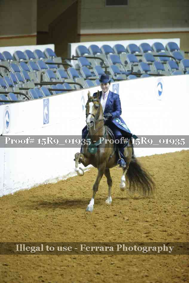 Proof 15R9_01935