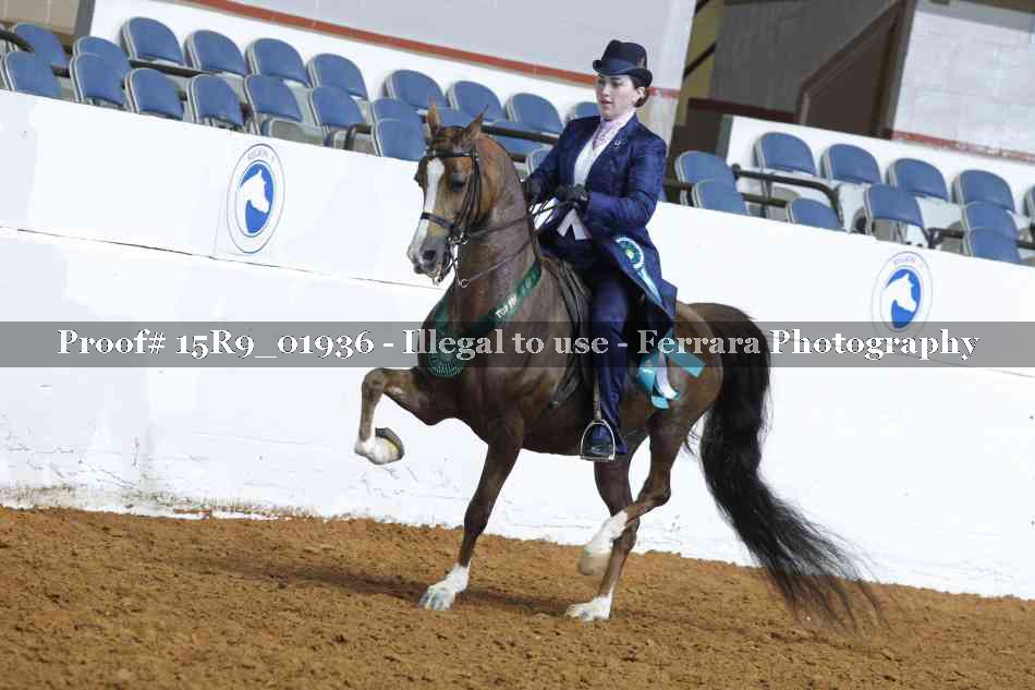 Proof 15R9_01936