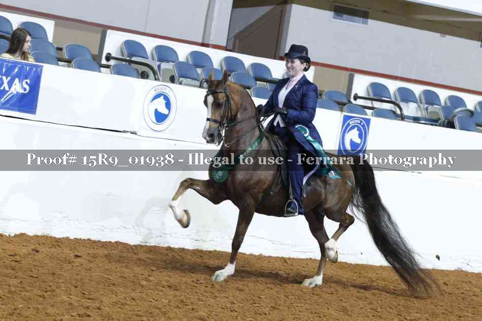 Proof 15R9_01938