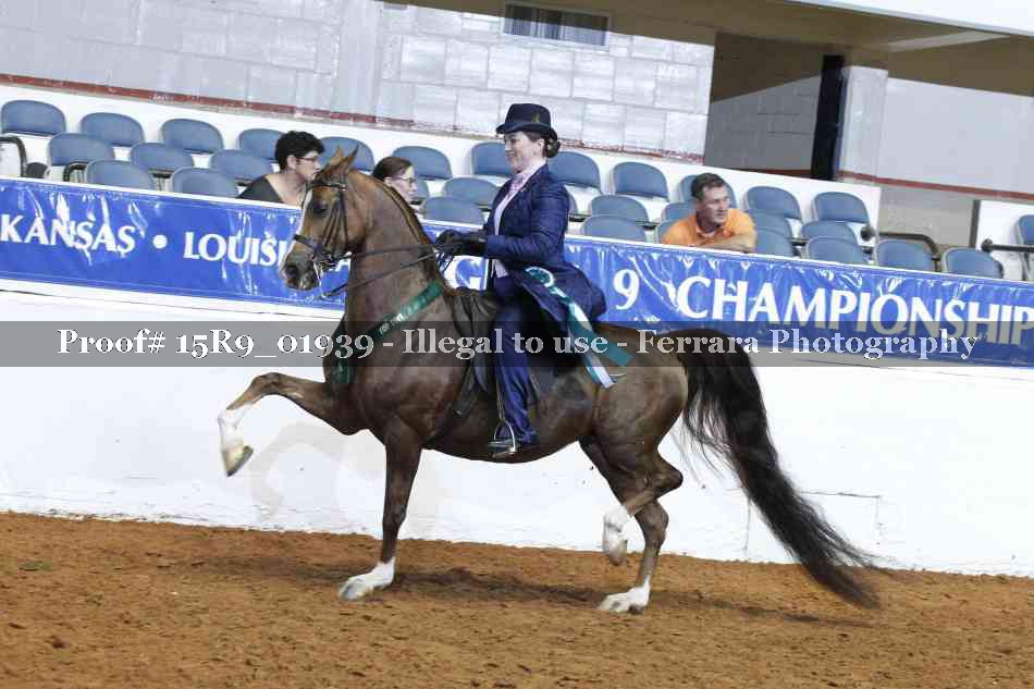 Proof 15R9_01939