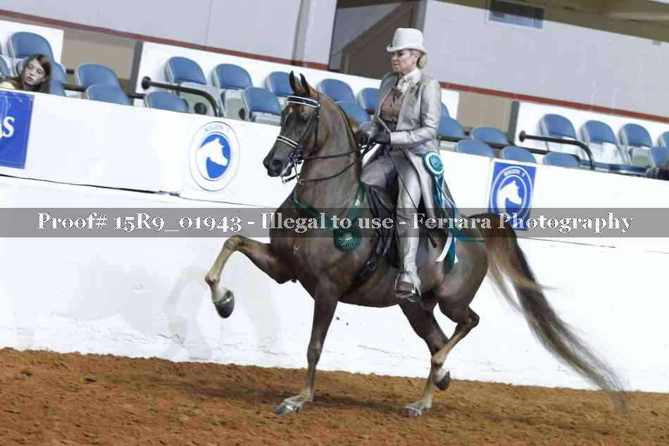 Proof 15R9_01943
