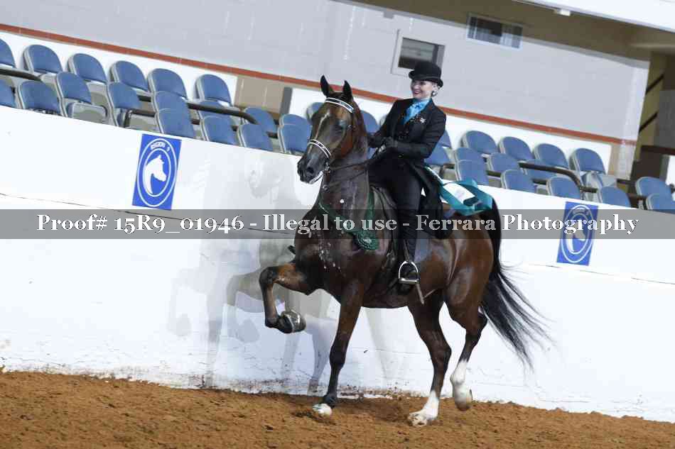 Proof 15R9_01946