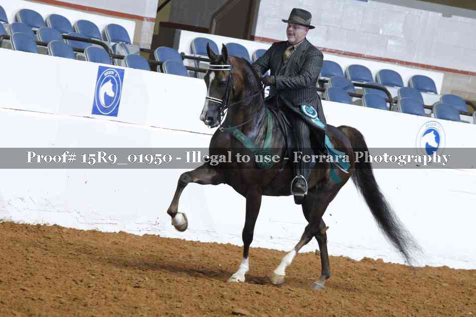 Proof 15R9_01950
