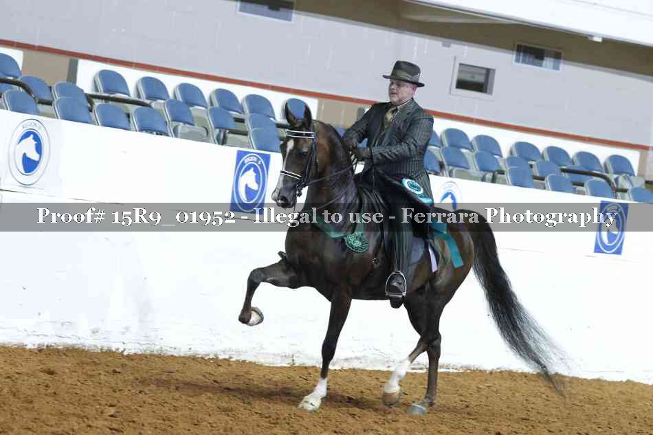 Proof 15R9_01952