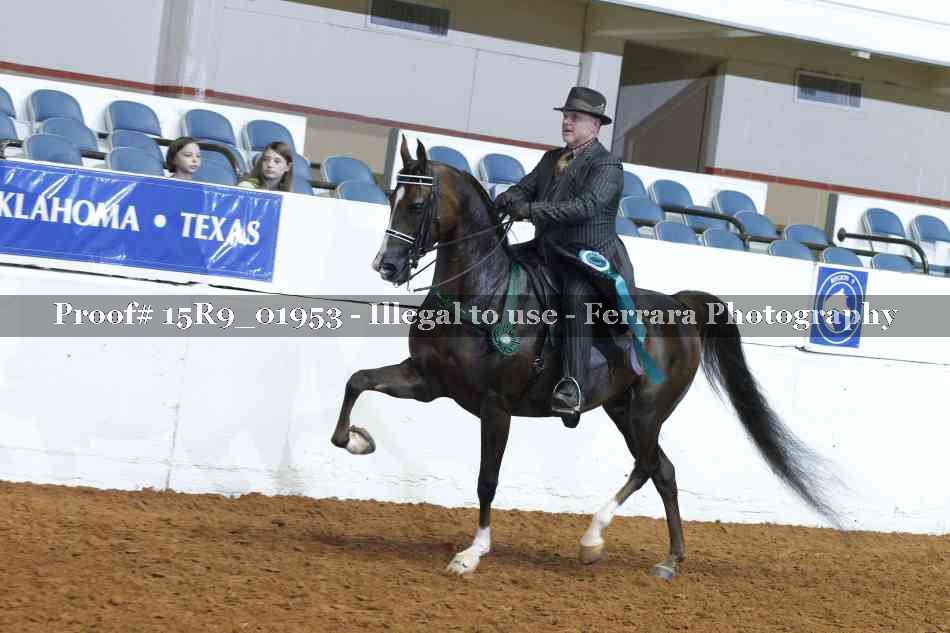 Proof 15R9_01953