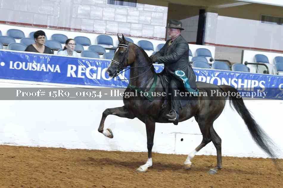 Proof 15R9_01954