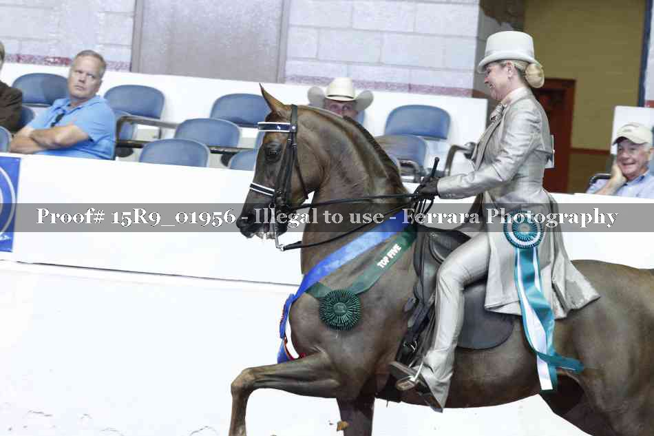 Proof 15R9_01956