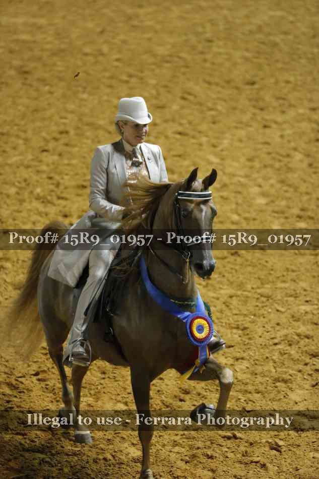 Proof 15R9_01957