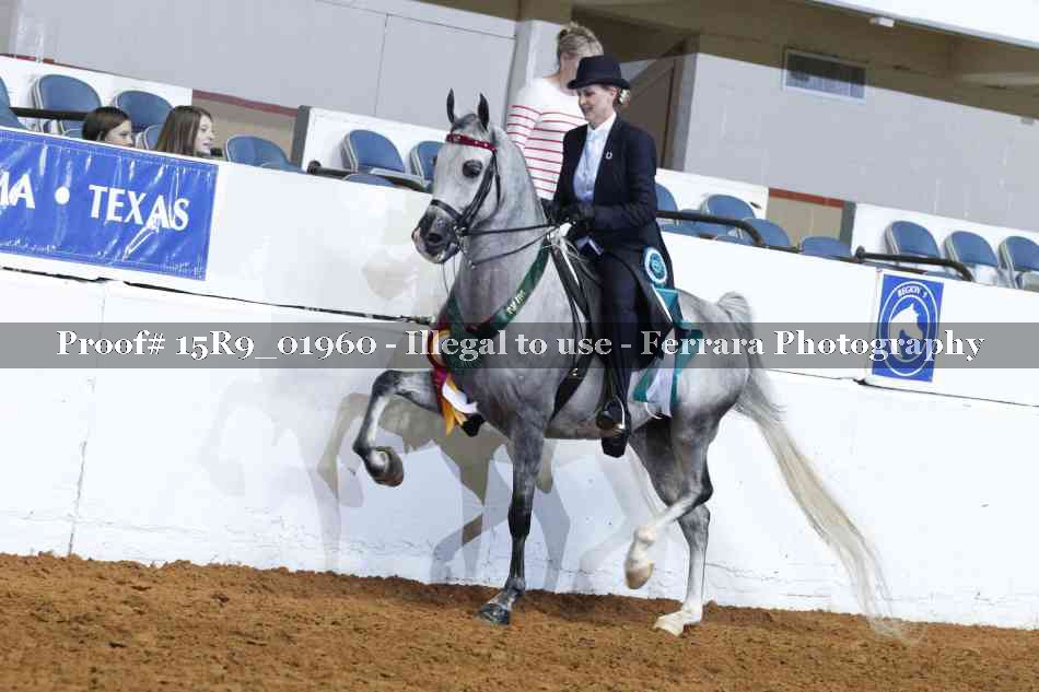 Proof 15R9_01960