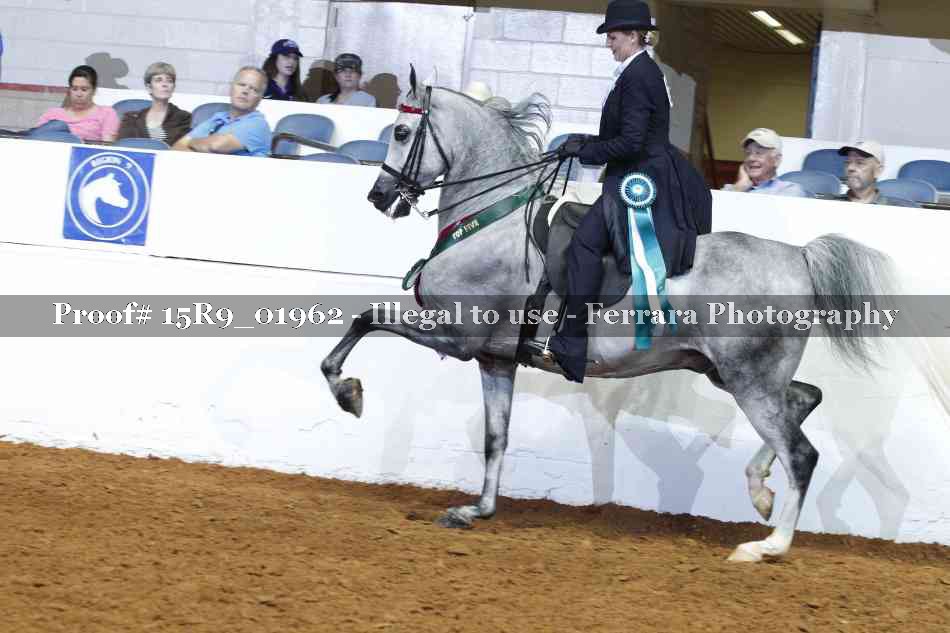 Proof 15R9_01962