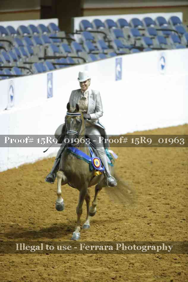 Proof 15R9_01963
