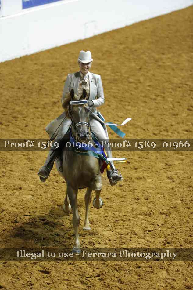 Proof 15R9_01966