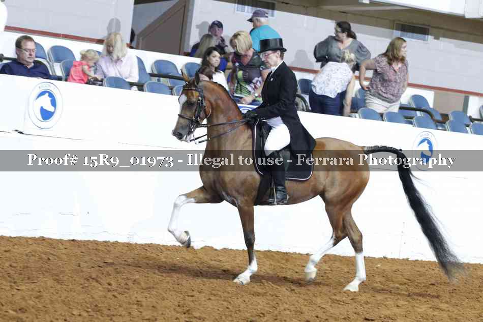 Proof 15R9_01973