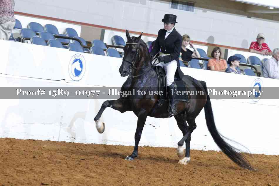 Proof 15R9_01977