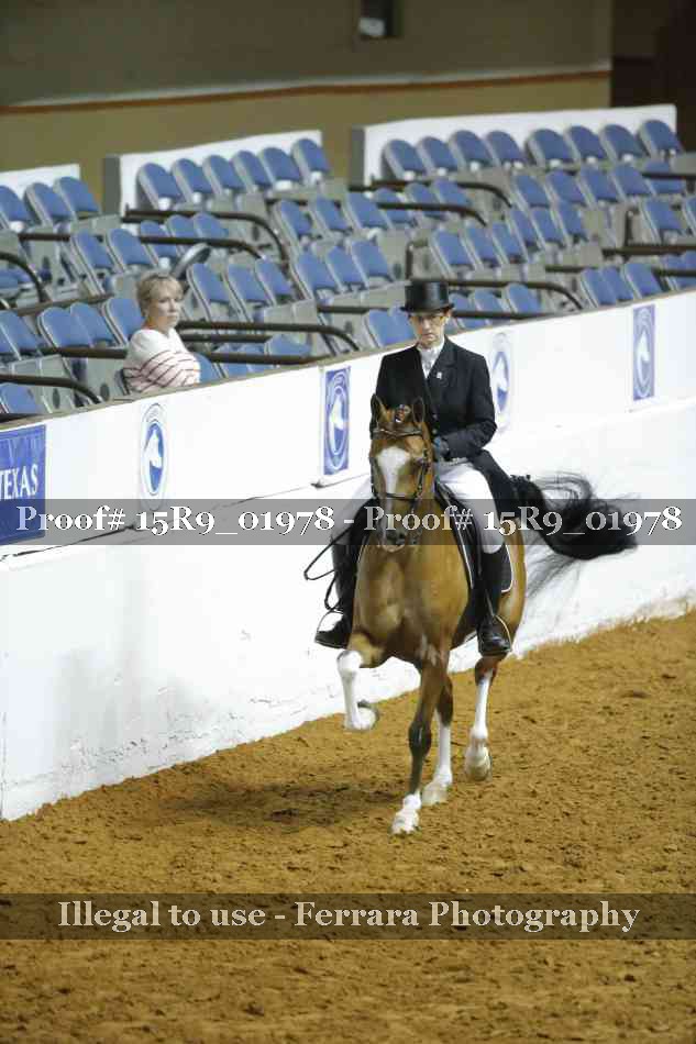 Proof 15R9_01978