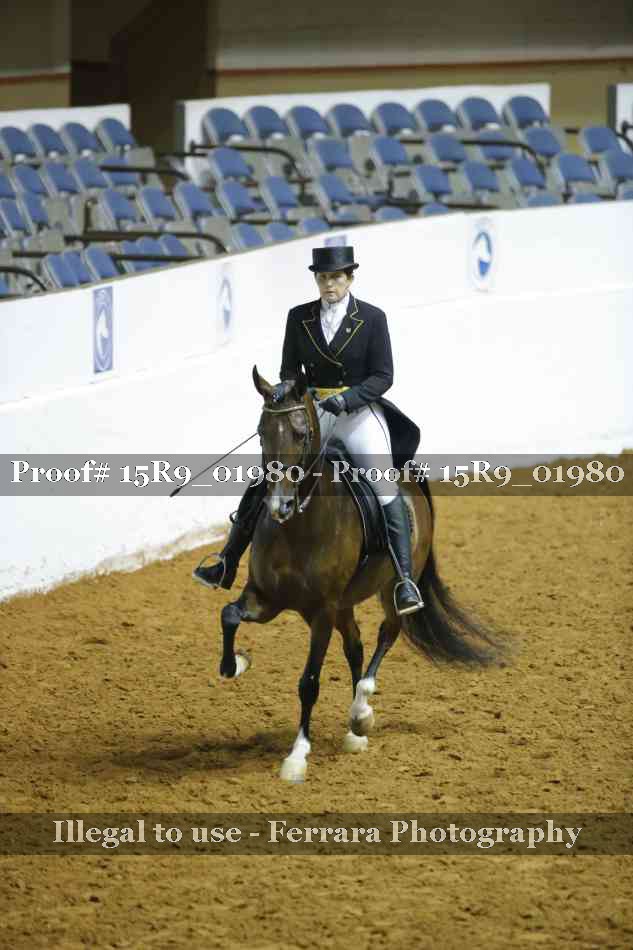 Proof 15R9_01980