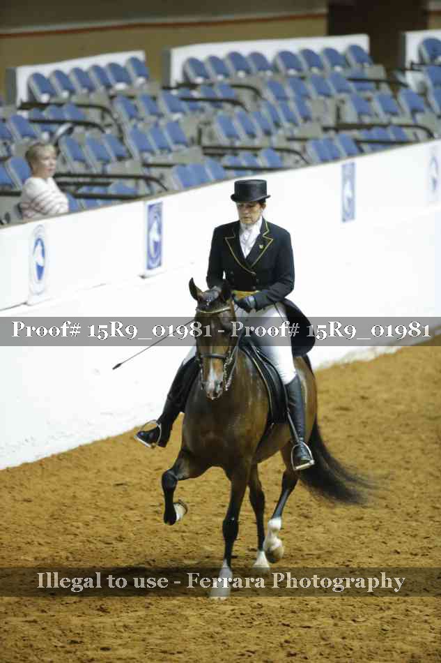 Proof 15R9_01981