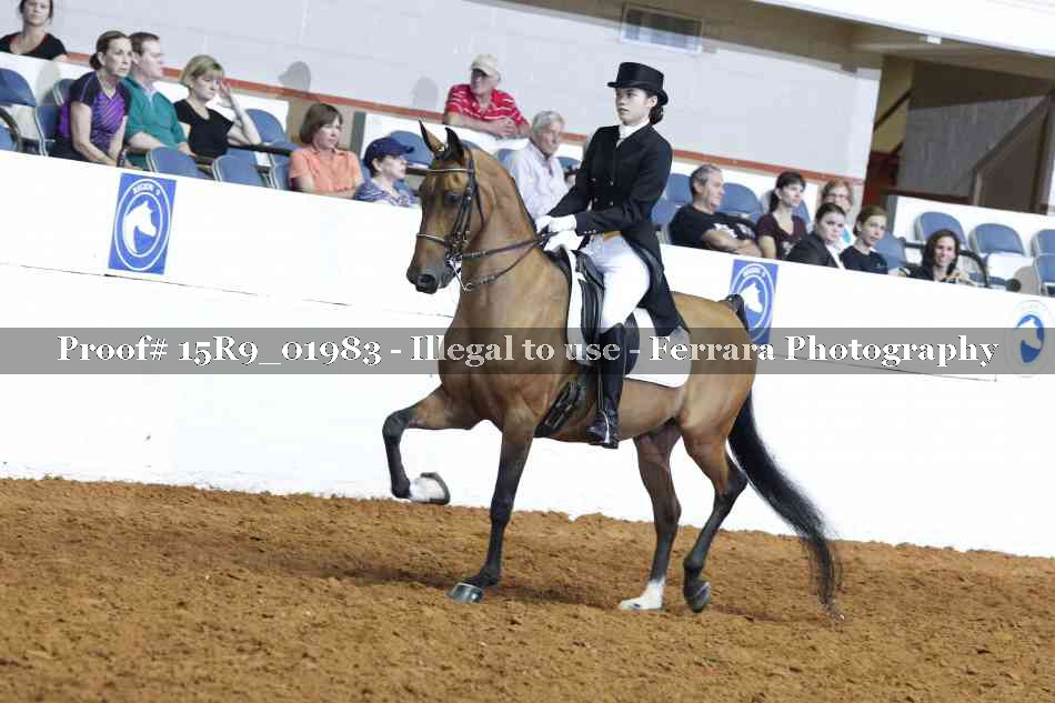 Proof 15R9_01983