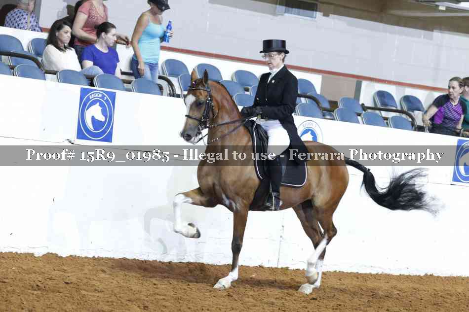 Proof 15R9_01985