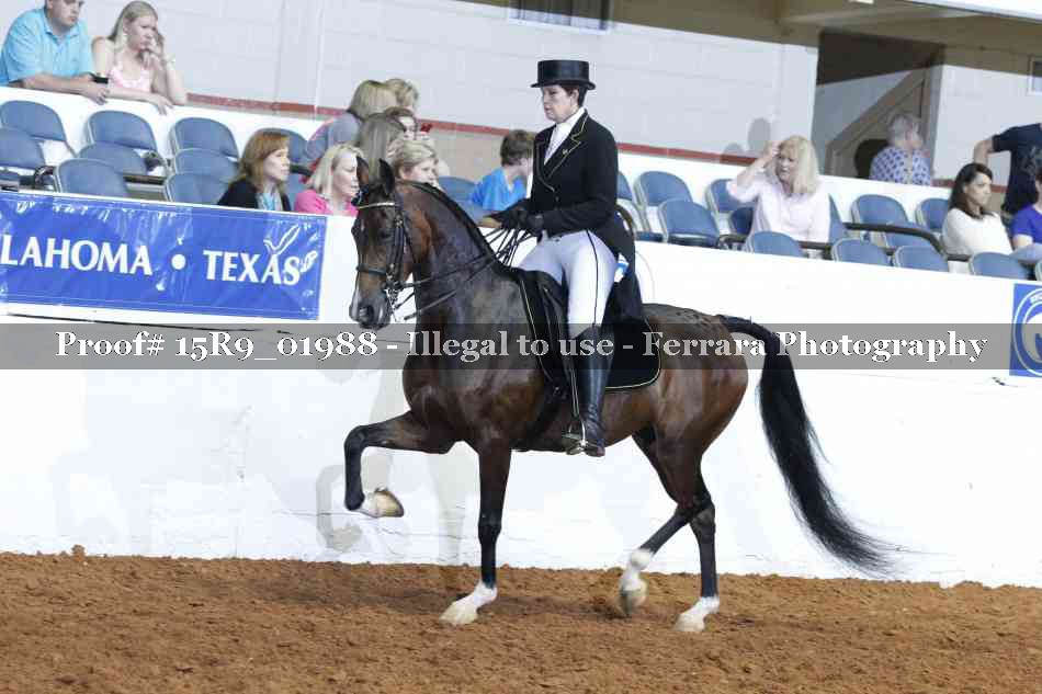 Proof 15R9_01988