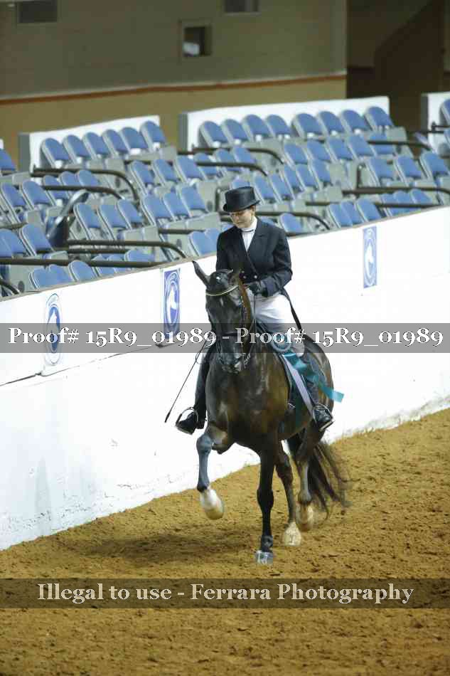 Proof 15R9_01989